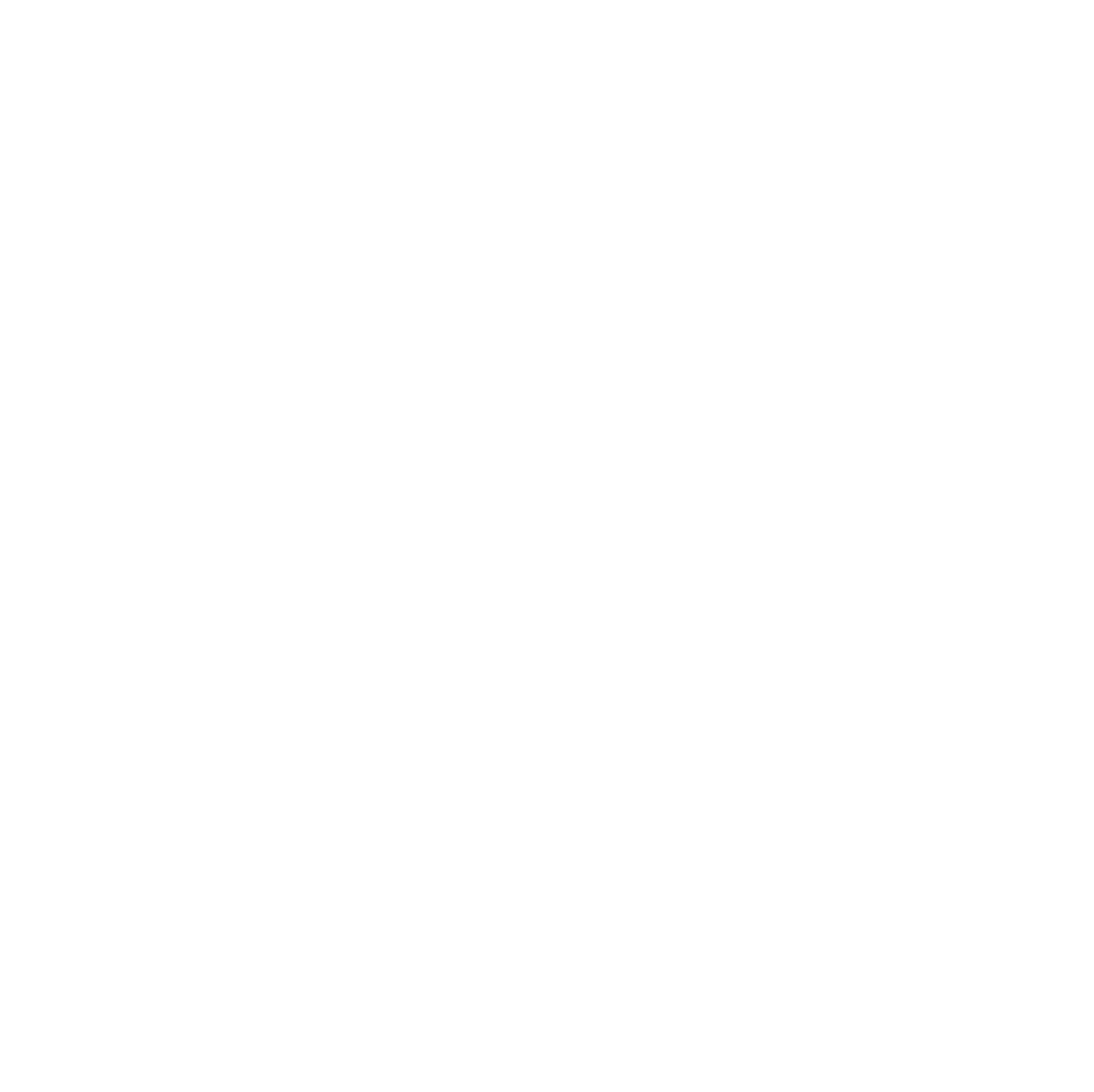 El Club de los 27